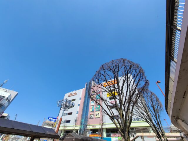 20220324_110753