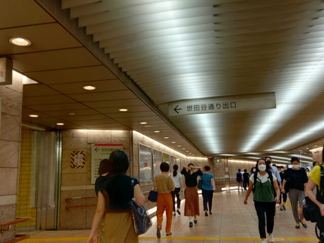 世田谷通り口までの道２