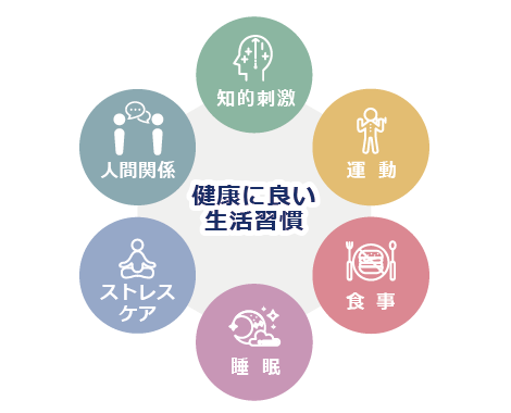 ブレインフィットネス