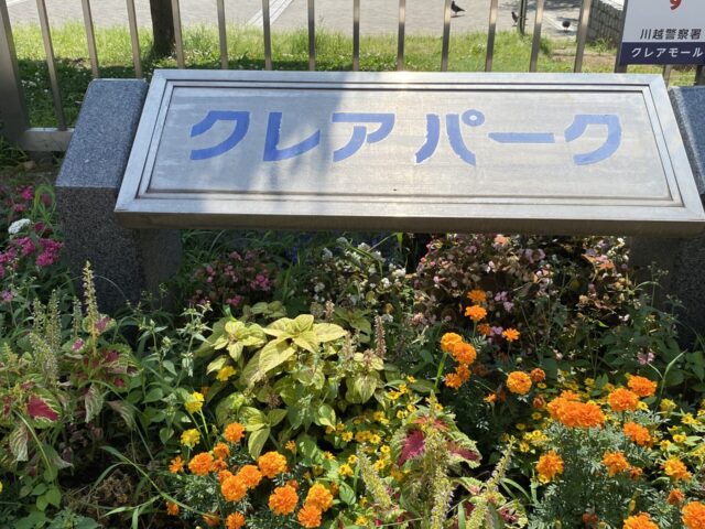 IMG_1320.JPG 縺ｮ繧ｳ繝斐・